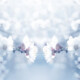 Photo of spring blossoms mirrored horizontally